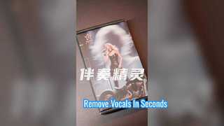 Accompaniment Wizard (can remove vocals from the original song)